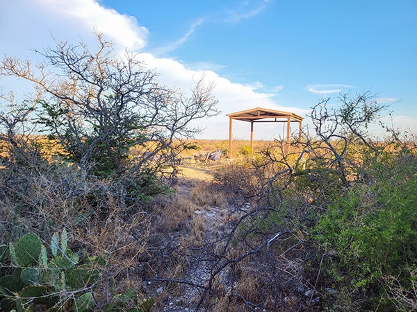 View of our reserved pavillion at Seminole Canyon State Park